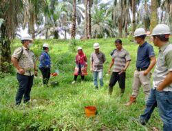 Masyarakat Tagih Janji DLH Umumkan Terbuka Hasil Laboratorium Sumur Warga Bungo Antoi
