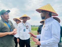 Kunjungi Sergai, Ini yang Dilakukan Deputi Kemenko Pangan di Regal Springs Indonesia