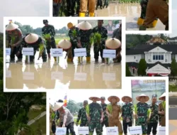 Bupati Muaro Jambi, Bambang Bayu Suseno  (BBS) Hadiri Penananaman Padi Serentak Untuk Mencapai Swasembada Pangan Nasional Seluruh Indonesia