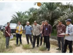 Sekda Budhi Hartono Melakukan Peninjauan lokasi Rencana Pembangunan Gedung Sekolah Rakyat