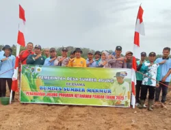 PEMERINTAH DESA SUMBER AGUNG BERSAMA BUMDES SUMBER MAKMUR MELAKSANAKAN PENANAMAN JAGUNG PROGRAM KETAHANAN PANGAN 2025