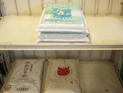 Untuk Pertama Kalinya Sejak 1999, Jepang Impor Beras dari Korea Selatan