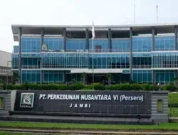 Terkini : PTPN VI Dilaporkan Aktivis Atas Dugaan Pelanggaran Hukum Ke Kejati Jambi