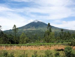 Misteri Gunung Cikuray: Pendaki Elang Guntur Selamat Setelah 4 Hari Menghilang, Diduga Terjebak Ilusi Suara Anjing