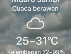 Muaro Jambi: Cuaca berawan dengan suhu antara 25–31 °C dan kelembapan 72–99%