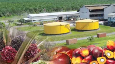 Sawit 2025: Peluang atau Tantangan Baru Bagi Petani Sawit dan Pabrik Pengolahan?