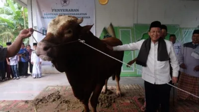 Sapi Kurban dari Presiden Prabowo Diserahkan ke Warga Kumpeh Ulu, Bupati BBS: Bentuk Nyata Kepedulian Negara