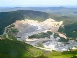 Bekas Tambang Berubah Jadi Zona Mati: Negara Gagal Pulihkan Hutan yang Terluka