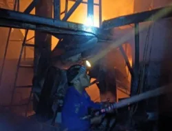 Info Update: Kebakaran Hebat di PT BW Talang Duku Jambi, Api Baru Padam Usai 6 Jam