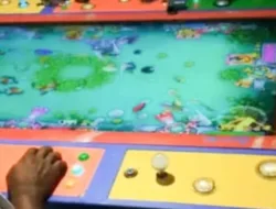 Marak Judi Tembak Ikan Di Bahar Utara : Di Duga Pemilik Inisial ” B” (Bagian 1)