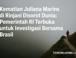 Kematian Juliana Marins di Rinjani Disorot Dunia: Pemerintah RI Terbuka untuk Investigasi Bersama Brasil