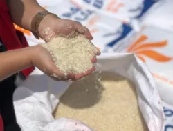 Harga Beras di Mahakam Ulu Tembus Rp 1,2 Juta per Karung, Warga Tercekik Logistik