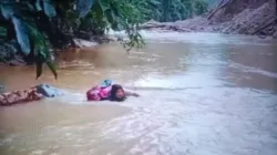 Bidan Dona Berenang Seberangi Sungai Demi Pasien TBC, Pemkab Pasaman Turun Tangan
