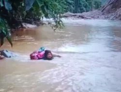 Bidan Dona Berenang Seberangi Sungai Demi Pasien TBC, Pemkab Pasaman Turun Tangan