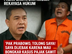 Kontroversi Penangkapan Ketua PETIR: Dugaan Entrapment, Skandal Pajak Sawit, dan Aroma Rekayasa Hukum