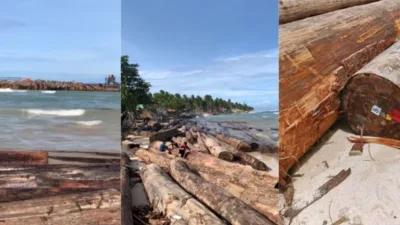 Penampakan kayu gelondongan dan kapal yang terdampar di Pantai Tanjung Setia. (Istimewa)