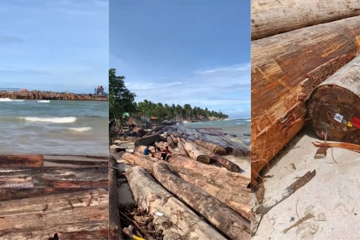 Penampakan kayu gelondongan dan kapal yang terdampar di Pantai Tanjung Setia. (Istimewa)