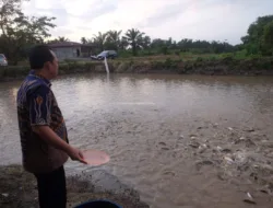 Bupati Muaro Jambi Silaturahmi ke Mitra Aksi Pembudidayaan Ikan Air Tawar di Tangkit Baru