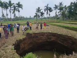 Lubang Raksasa Muncul di Sawah Warga Situjuah, Polisi Imbau Warga Waspada