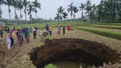 Lubang Raksasa Muncul di Sawah Warga Situjuah, Polisi Imbau Warga Waspada