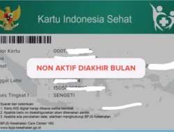 Negara Ambil Alih Penuh, DPR Putuskan Layanan BPJS PBI Tetap Aktif dan Dibayar Pemerintah Selama 3 Bulan