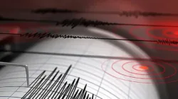 Gempa M 7,4 Guncang Jepang, Peringatan Tsunami 3 Meter Dikeluarkan