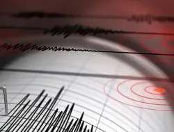 Gempa M 7,4 Guncang Jepang, Peringatan Tsunami 3 Meter Dikeluarkan