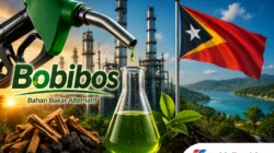 Bobibos Diproduksi di Timor Leste, Alarm Serius bagi Hilirisasi Energi Nasional