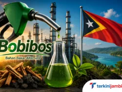 Bobibos Diproduksi di Timor Leste, Alarm Serius bagi Hilirisasi Energi Nasional