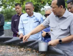 Bupati Muaro Jambi Tinjau BPBAT Sungai Gelam, Dorong Penguatan Budidaya Perikanan Air Tawar