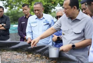 Bupati Muaro Jambi Tinjau BPBAT Sungai Gelam, Dorong Penguatan Budidaya Perikanan Air Tawar