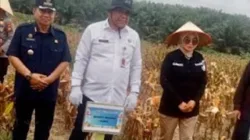 Sekda Muaro Jambi Hadiri Panen Raya Jagung Serentak Kuartal II 2026 di Suko Awin Jaya