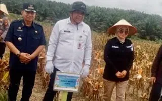 Sekretaris Daerah (Sekda) Kabupaten Muaro Jambi, Budhi Hartono, S.Sos., MT menghadiri kegiatan Panen Raya Jagung Serentak Kuartal II Tahun 2026 yang digelar di kawasan PT Brahma Binabakti, Desa Suko Awin Jaya, Kecamatan Sekernan