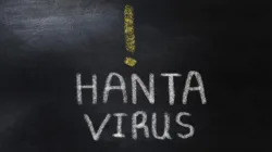 Kemenkes RI Minta Masyarakat Tak Terjebak Hoaks Hantavirus, Ini Perbedaan HPS dan HFRS