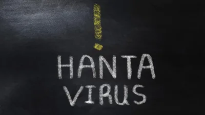 Kemenkes RI Minta Masyarakat Tak Terjebak Hoaks Hantavirus, Ini Perbedaan HPS dan HFRS