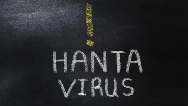 Gambar Ilustrasi Hantavirus sendiri diketahui sudah lama ada di Indonesia, jauh sebelum munculnya kasus pada kapal pesiar MV Hondius.