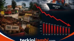 Usai Pengumuman BUMN Ekspor oleh Presiden Prabowo, Harga TBS Sawit Petani Dilaporkan Turun Drastis