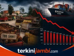 Usai Pengumuman BUMN Ekspor oleh Presiden Prabowo, Harga TBS Sawit Petani Dilaporkan Turun Drastis