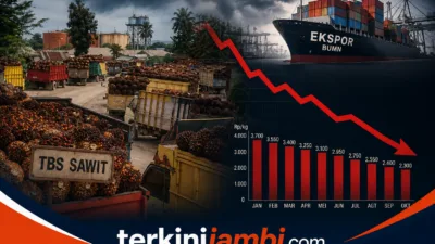Usai Pengumuman BUMN Ekspor oleh Presiden Prabowo, Harga TBS Sawit Petani Dilaporkan Turun Drastis
