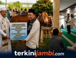 Masjid Baiturrahman Desa Kunangan Terima Sapi Kurban Presiden Prabowo, Diserahkan Langsung Bupati Muaro Jambi