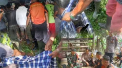 Pencari Ikan yang Dilaporkan Hilang Ditemukan Meninggal di Kebun, Diduga Tersambar Petir