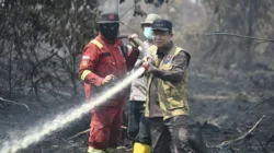 Bupati Muaro Jambi Turun Langsung Padamkan Karhutla di Sungai Gelam, Puluhan Hektare Lahan Terbakar