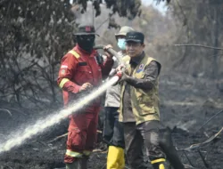 Bupati Muaro Jambi Turun Langsung Padamkan Karhutla di Sungai Gelam, Puluhan Hektare Lahan Terbakar