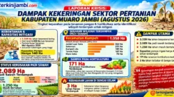 Kekeringan Muaro Jambi Agustus 2026: 3.339 Hektare Lahan Berpotensi Kering, 2.089 Hektare Padi Terdampak