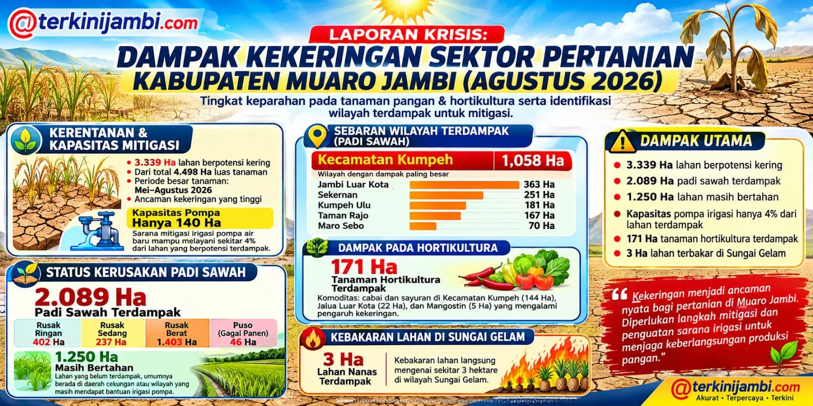 Gambar info grafis dampak kekeringan sektor pertanian kabupaten Muaro Jambi Agustud 2026