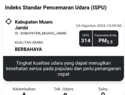 ISPU Muaro Jambi Hari Ini 314, Polusi Udara Masuk Kategori Berbahaya