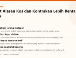 Panduan Pemilik Kos dan Rumah Kontrakan Menghadapi Masalah Rayap